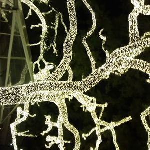 Meet your Posher, Scally